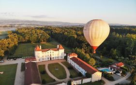 Chateau Des Perichons